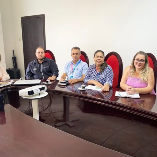 CONEXÃO SEBRAE/ACES